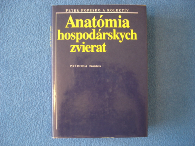 Anatomia1.JPG