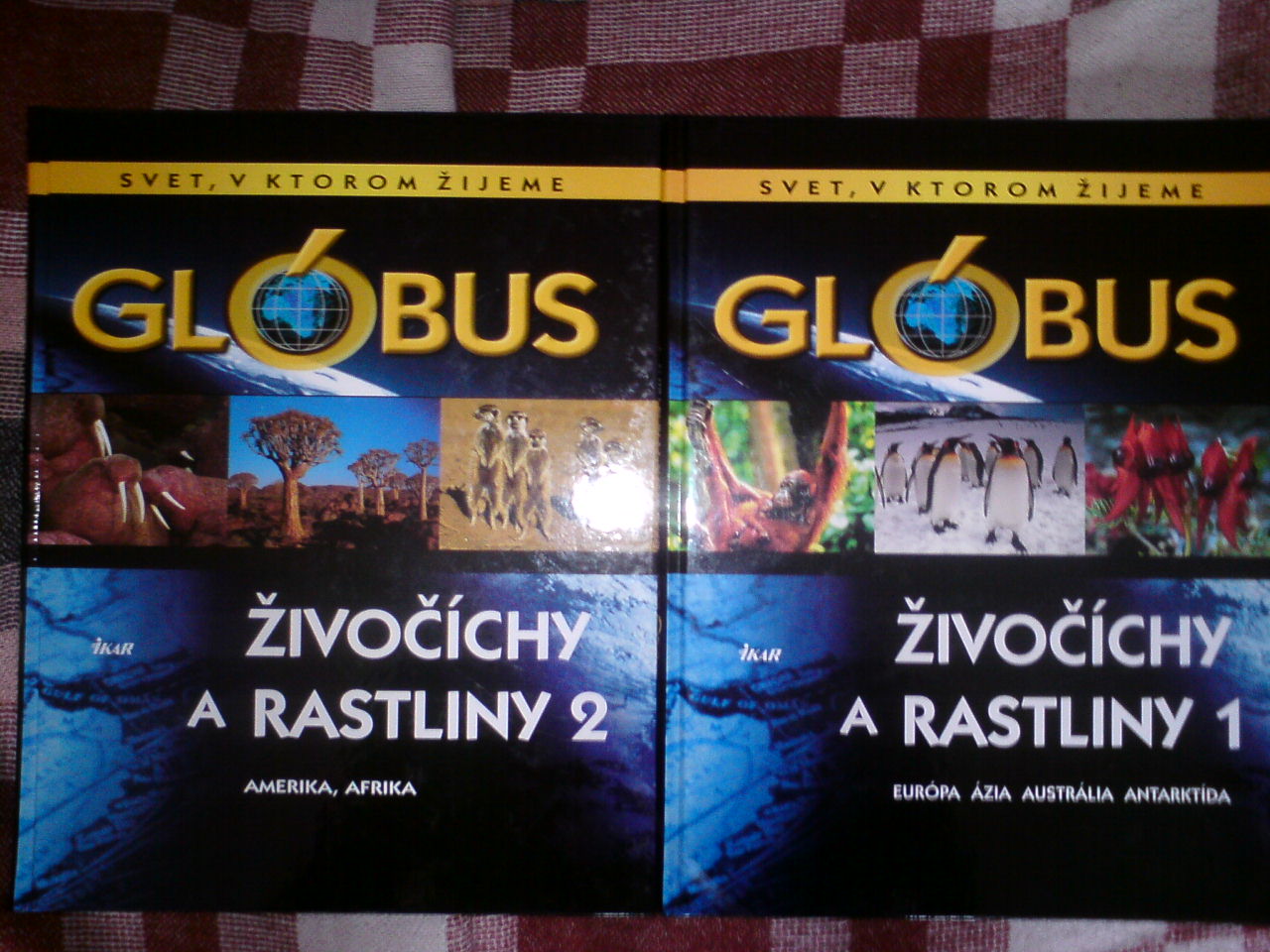 globus encyklopedia (1).JPG