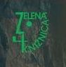 zelena knižnica.jpg